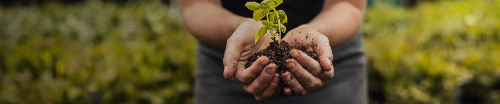 KMETOVANJE PRIHODNOSTI, DANES!